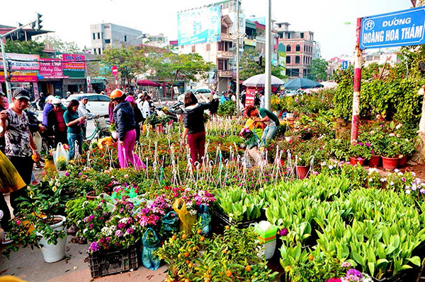 Hoang Hoa Tham Bird and Flower Market