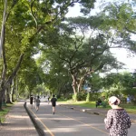 lumpini park